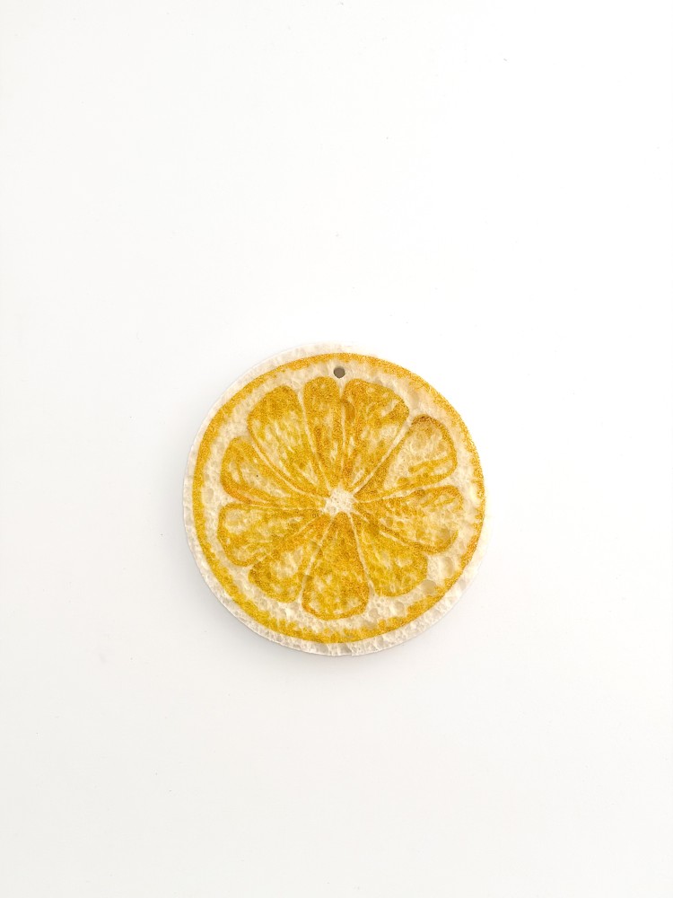 Limon Desenli Sihirli Sünger